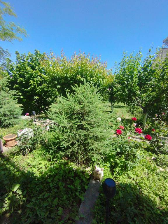 foto23