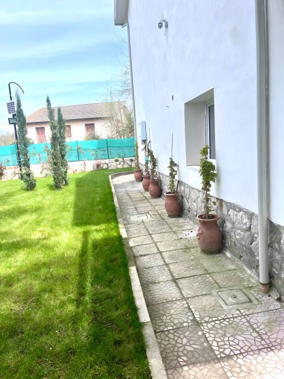 foto19