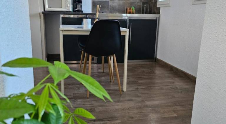 Rental apartment with BBQ, garden & patio — photo 4
