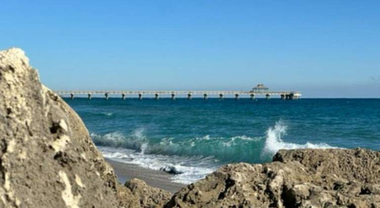 Wonderful holiday apartment | Pets allowed in Deerfield Beach, FL