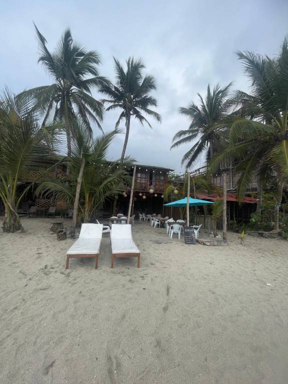 Puerto Manglar Hostal — photo 4
