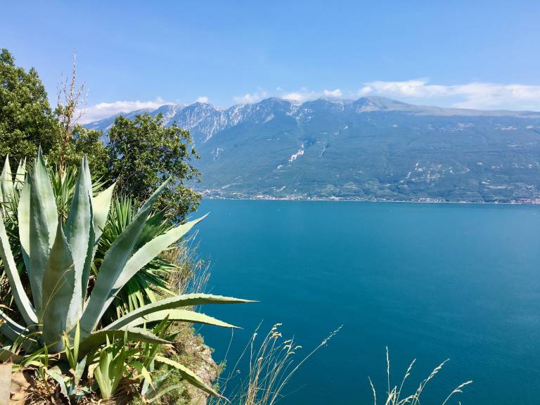 foto17