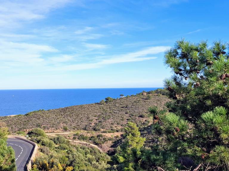 Apartment in Banyuls-sur-Mer with Sea View and Parking in Banyuls-sur-Mer