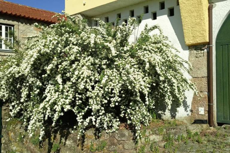 foto21