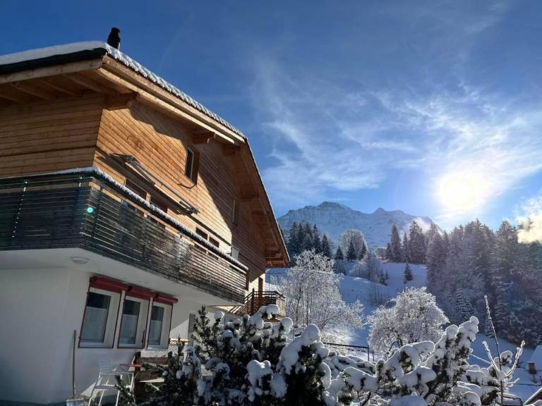 Ferienwohnung  Wengen BE