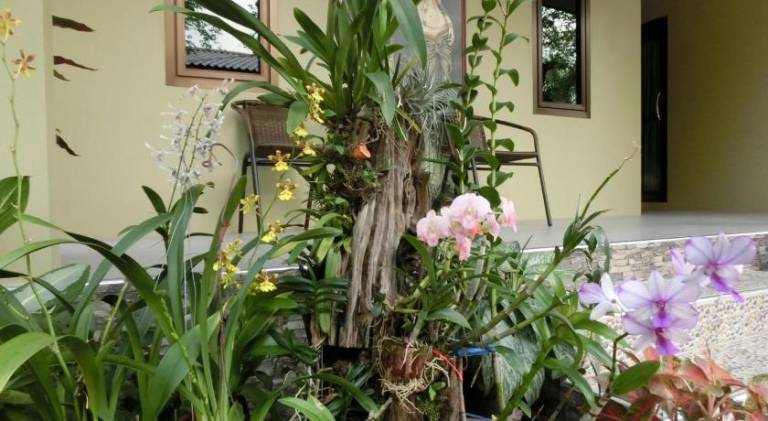 foto35