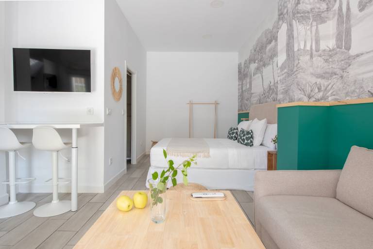 Apartment Seville