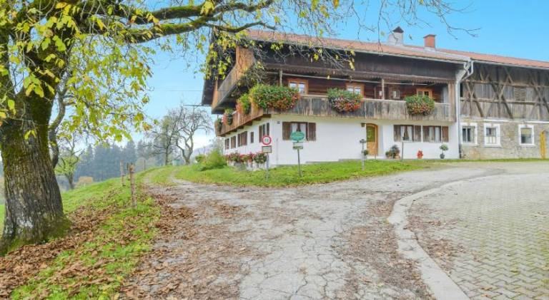 foto4