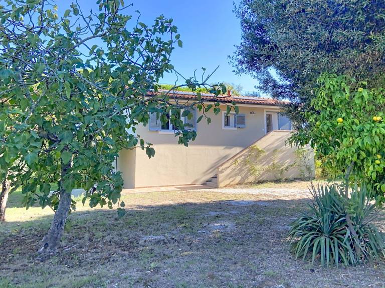 Ferienhaus mit Hund inCecina, Toskana  f&uuml;r max. 2 Personen