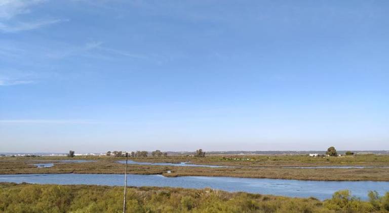 Holiday apartment with pool | Next to the beach | Pets allowed in Ayamonte