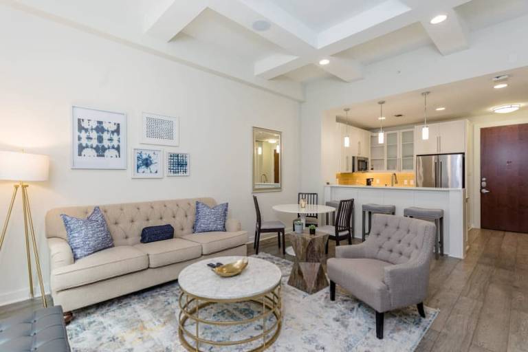 Constellations Elegant 1 BR in Downtown Houston