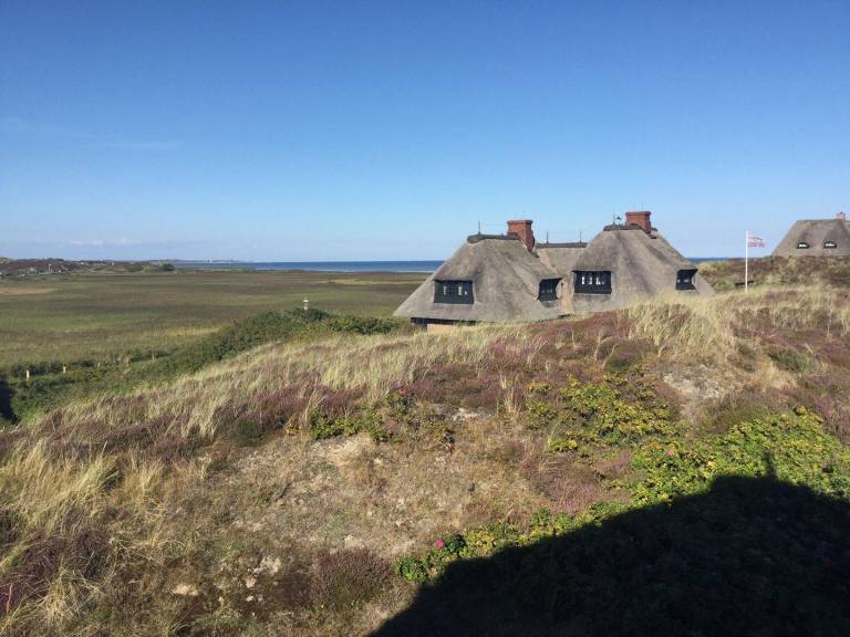 Ferienhaus mit Hund in Kampen (Sylt) für max. 4 Personen