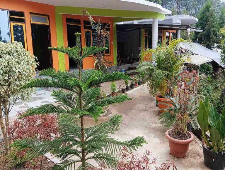 Farmhouse Chalisay Gaon