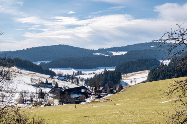 Apartment 'Hochfirst' with Mountain View, Shared Terrace and Wi-Fi — photo 3