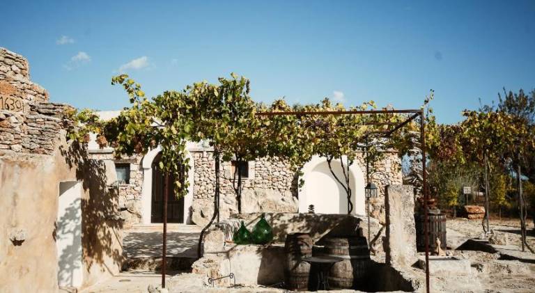 Rental apartment with yard, BBQ & pool in Carovigno