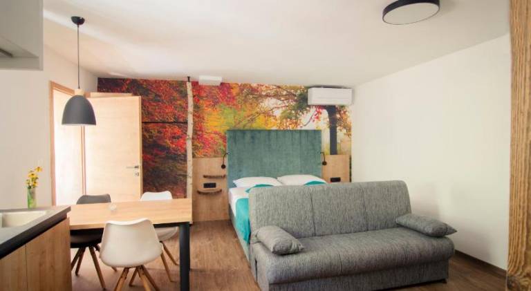Apartma Olimje