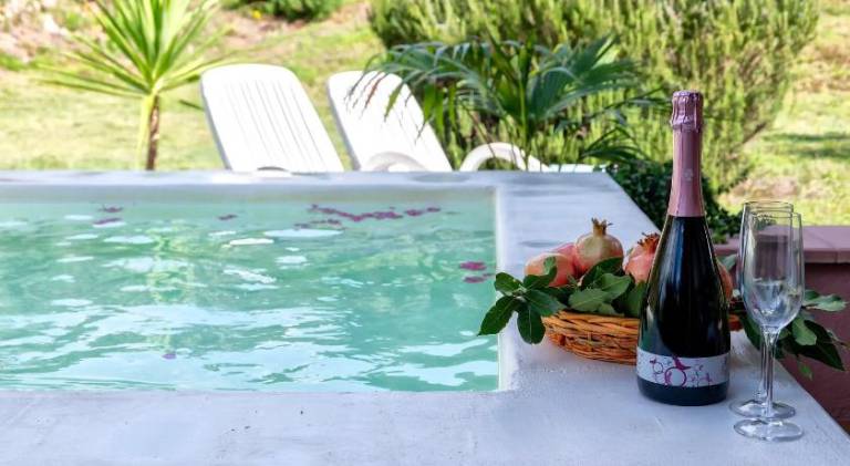 Villa with 2 rooms for 5 persons — photo 4