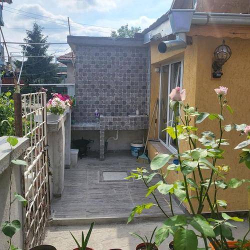 foto16