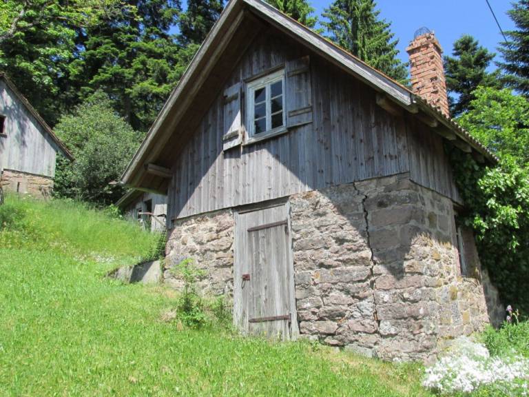 foto20