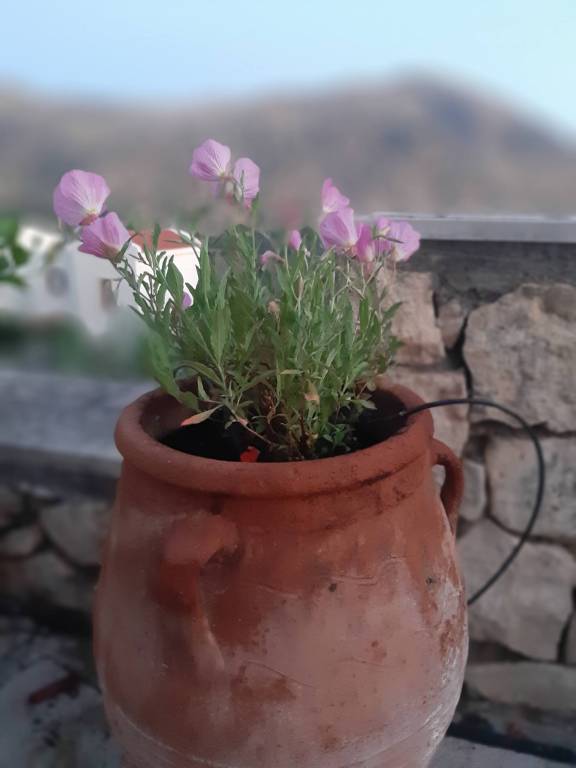 foto41