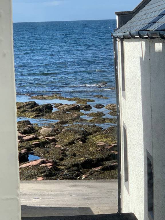 foto16