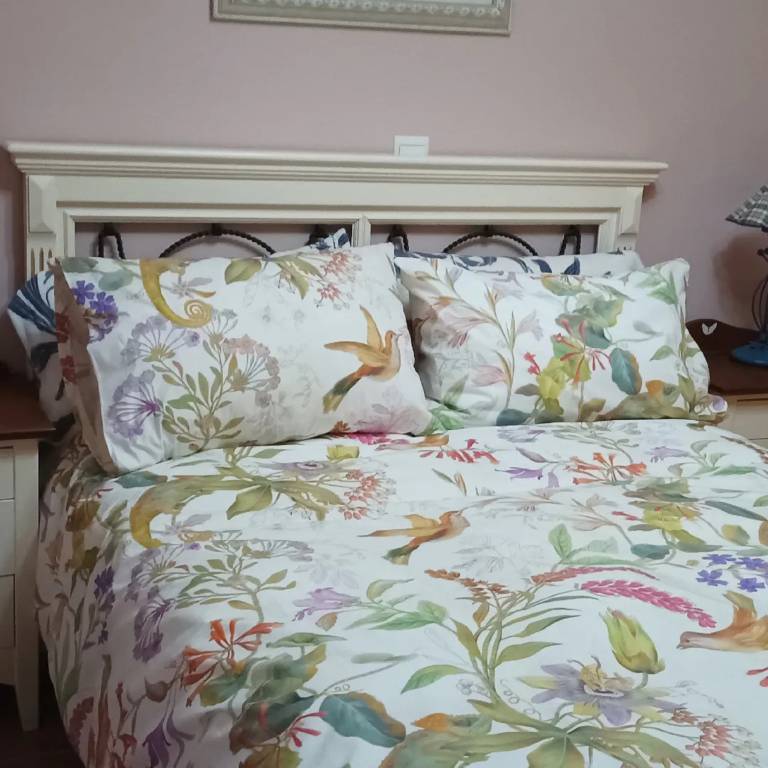 foto2