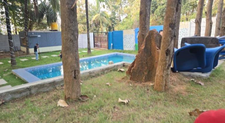 Farm with barbeque, pool & yard — photo 3