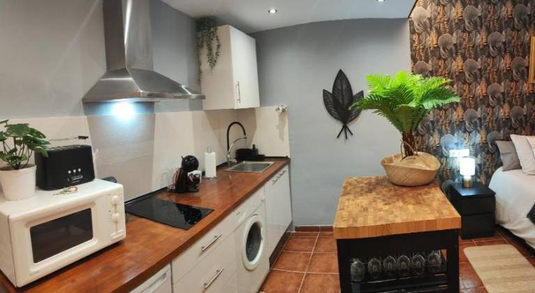 Apartment with 1 room for 3 persons — photo 3