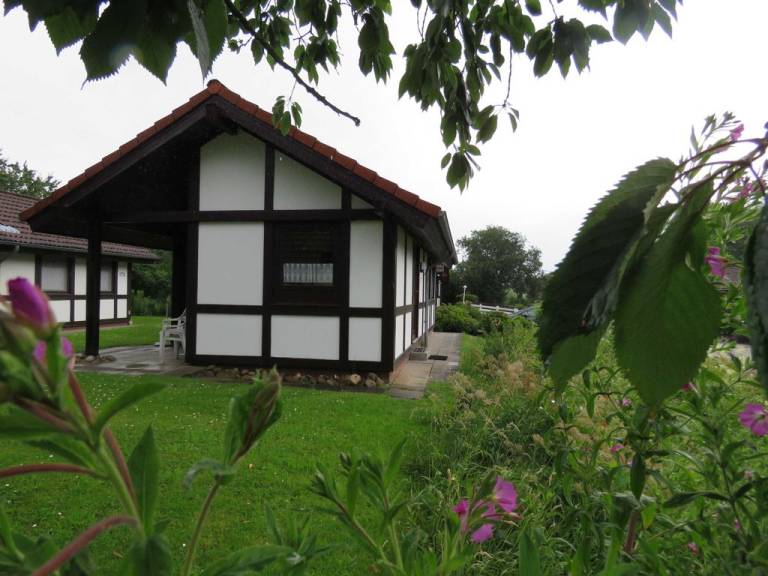 foto19