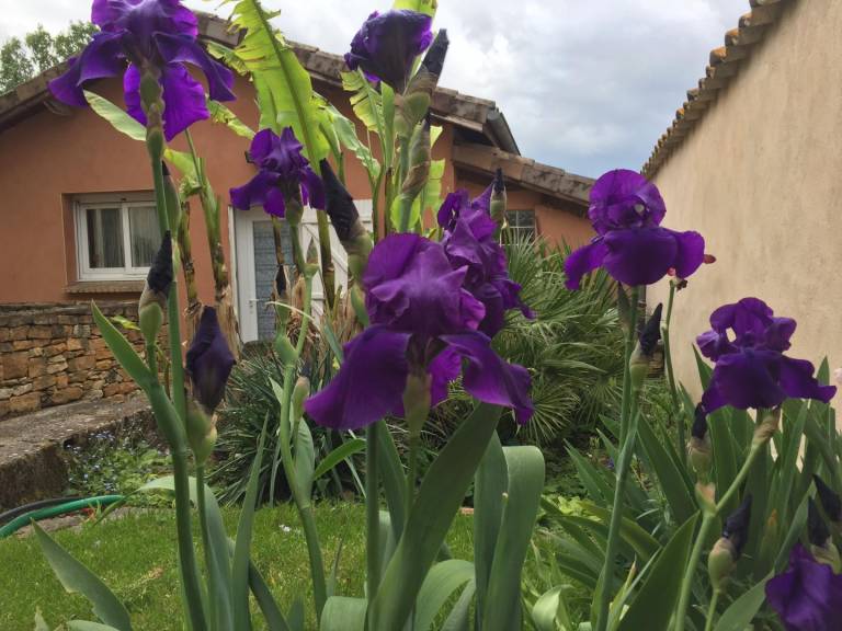 foto21