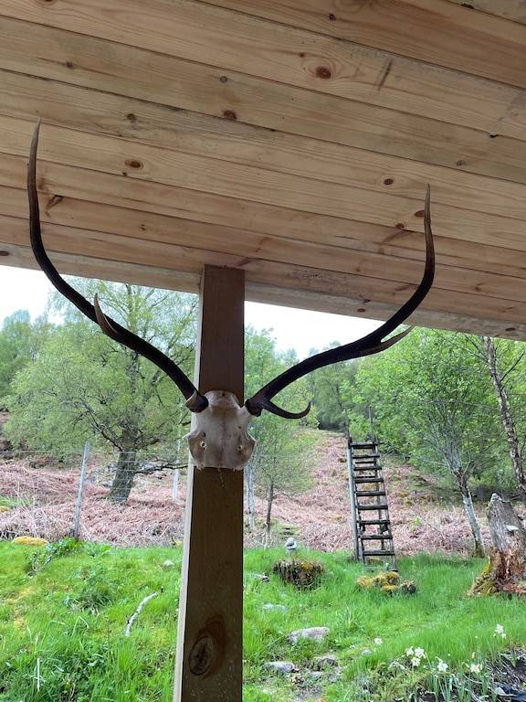 Cabin The Highlands