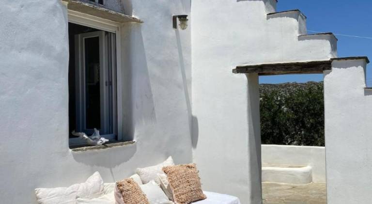 Apartment with patio & yard | Pets are welcome — photo 5
