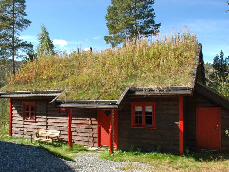 foto9