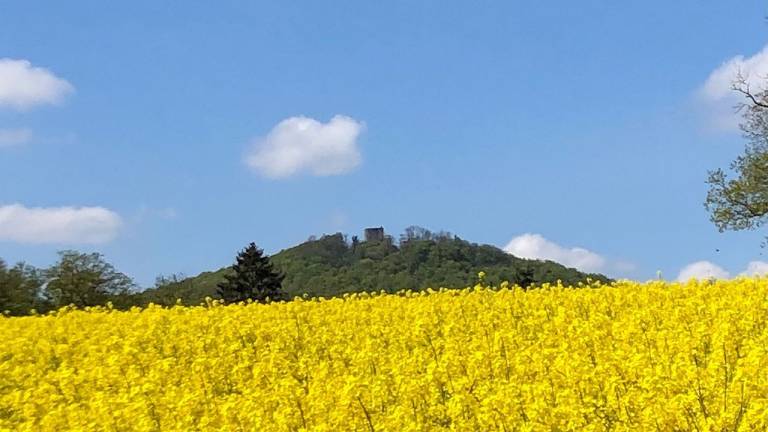 foto10