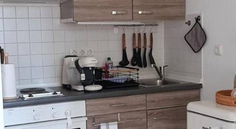 Rental apartment | Pets are welcome — photo 4