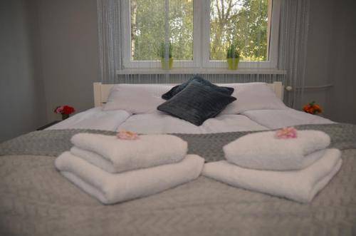Apartament Trzebinia