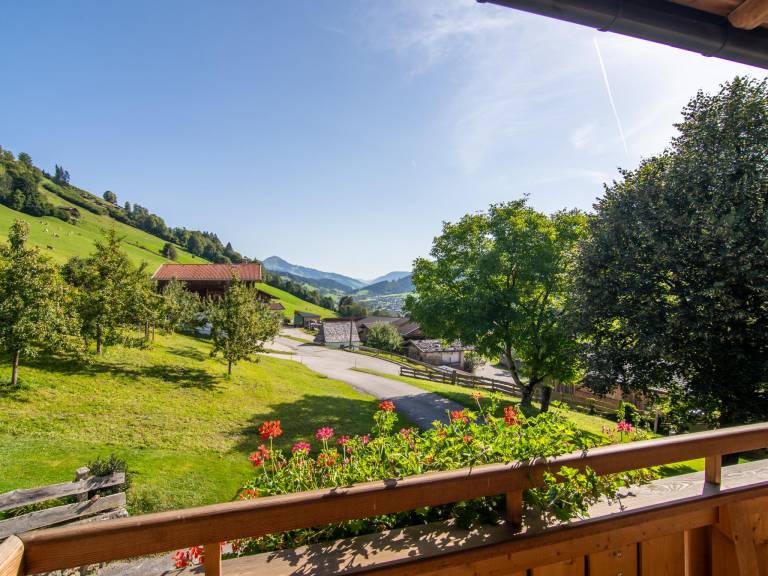 foto14
