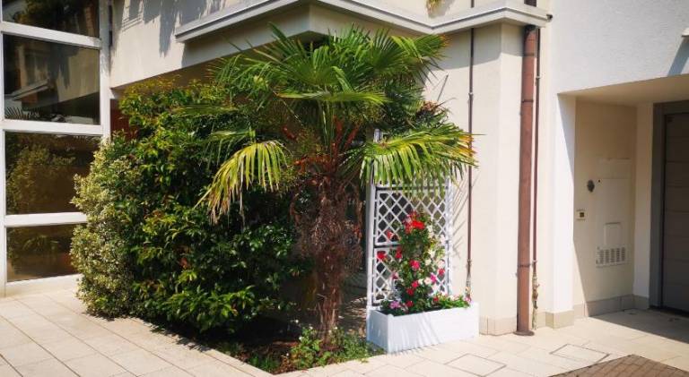 Holiday apartment with 2 rooms for 5 persons — photo 4