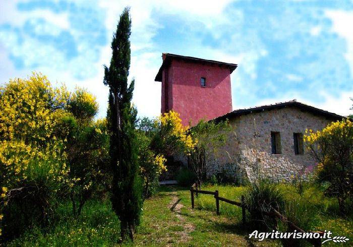 Camera privata Santo Stefano-Palma