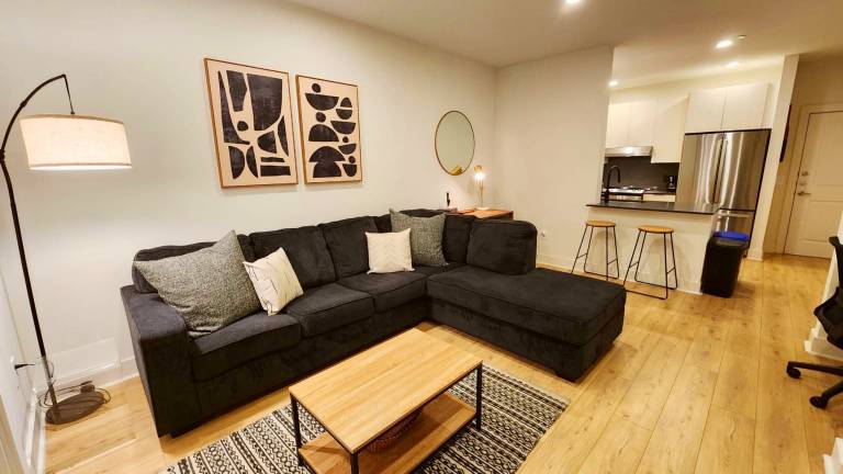 Montrose Spring Stylish 1 BR in Houston