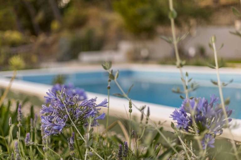 Villa My Happy Place with Swimming Pool — photo 4