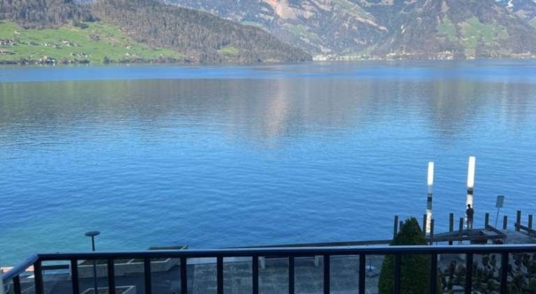Rigiblick am See — photo 3