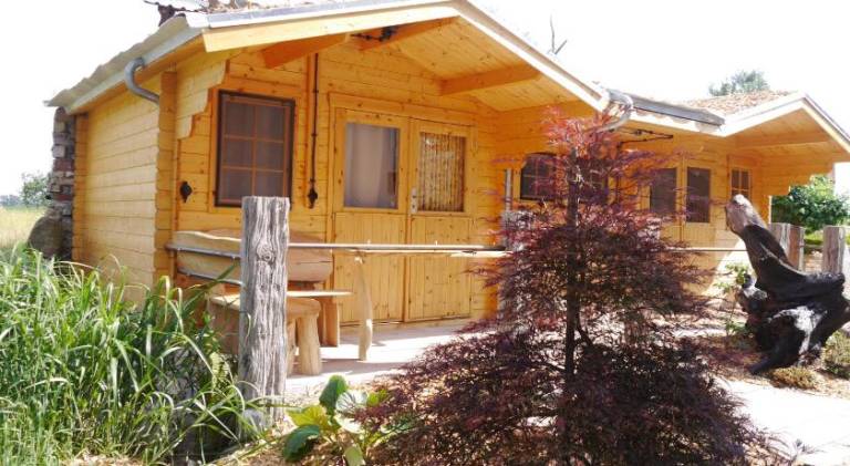 Lodge with terrace, barbeque & yard | Pets are welcome in Rheinsberg