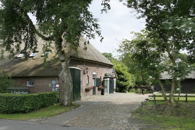 Ferienhaus in Anderen, Rolde f&uuml;r max. 34 Personen