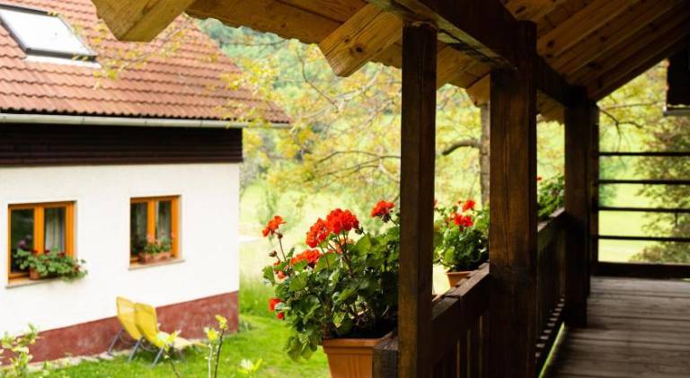 Rental apartment | Pet-friendly in Celje