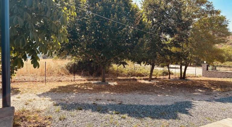 foto48