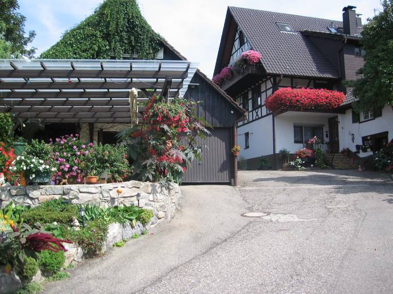 foto4