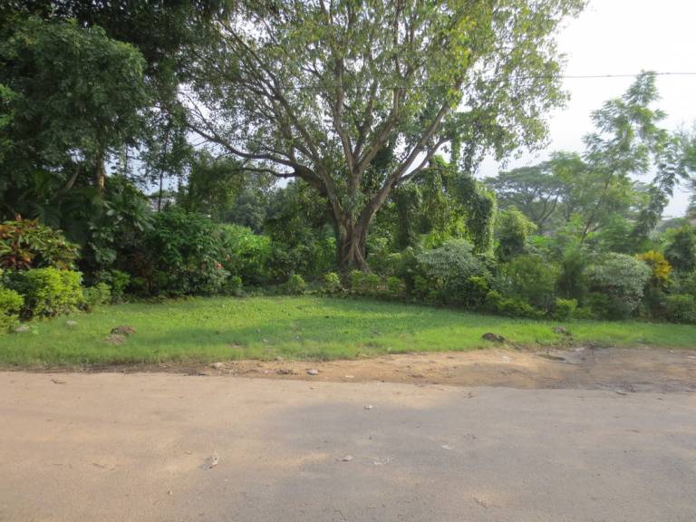 foto5