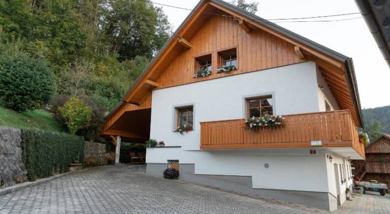 Apartment with 1 room for 5 persons in Bled
