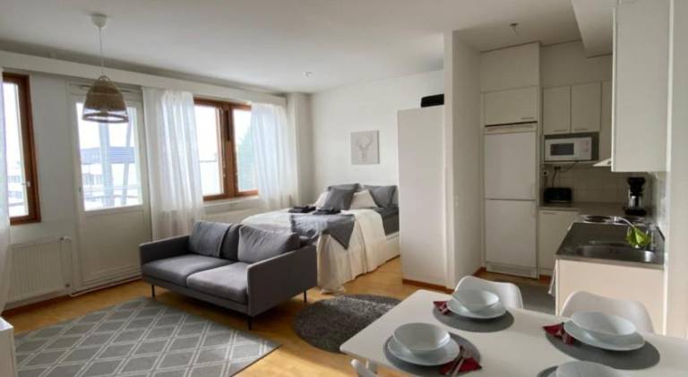 Holiday apartment | Near Arktikum Science Museum | Pets allowed in Rovaniemi
